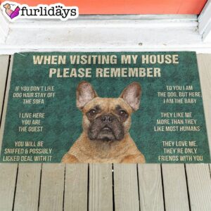 French Bulldog s Rules Doormat Funny Doormat Christmas Decor 1