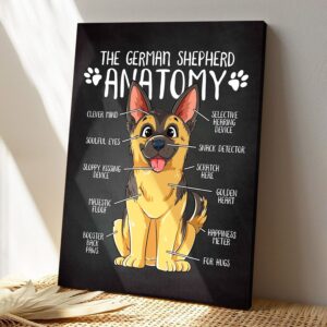The German Shepherd Anatomy – Dog…