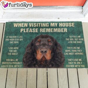 Gordon Setter’s Rules Doormat – Funny…