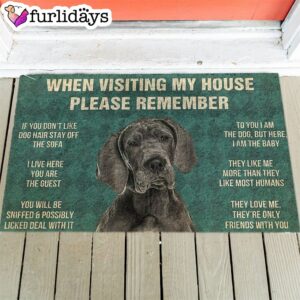 Great Dane’s Rules Doormat – Outdoor Decor – Dog Lovers Gifts for Him or Her