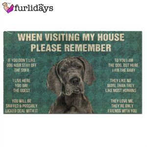 Great Dane s Rules Doormat Outdoor Decor Dog Lovers Gifts for Him or Her 2