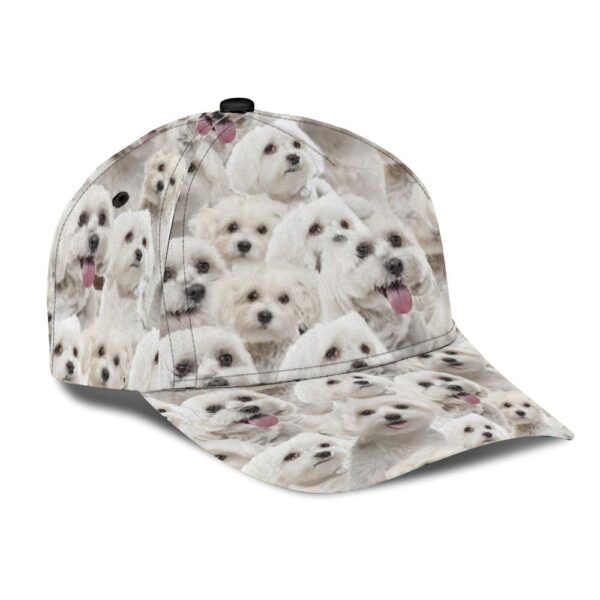 Maltese Cap – Hats For Walking With Pets – Dog Hats Gifts For Relatives