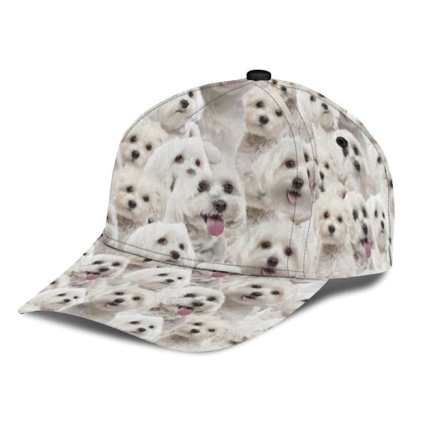 Maltese Cap – Hats For Walking With Pets – Dog Hats Gifts For Relatives