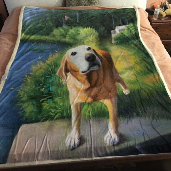 Dog Blankets For Sofa – Dog In Blanket – Dog Face Blanket – Dog Fleece Blanket – Furlidays