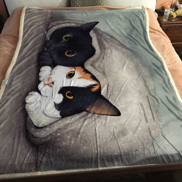 Blanket With Cats On It – Warm Blanket – Cats Blanket – Cat In Blanket – Cat Fleece Blanket – Furlidays