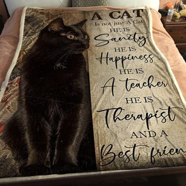 Blanket With Cats On It – A Cat Is Not Just A Cat – Black Cat – Cat Blanket For Couch – Cat Fleece Blanket – Furlidays