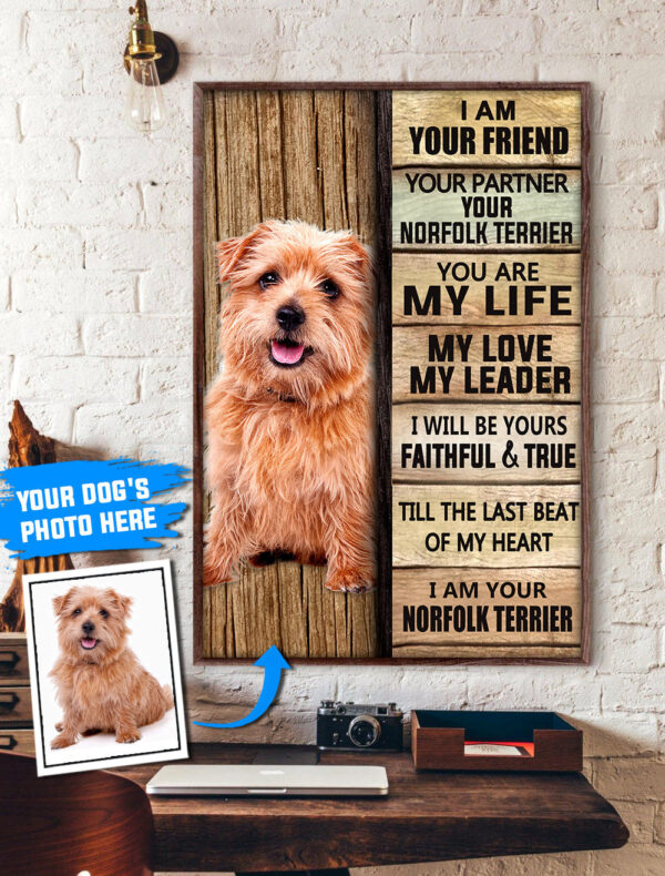 Norfolk Terrier Personalized Poster & Canvas – Dog Canvas Wall Art – Dog Lovers Gifts For Him Or Her