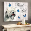 Old English Sheepdog Matte Canvas – Dog Wall Art Prints – Canvas Wall Art Decor