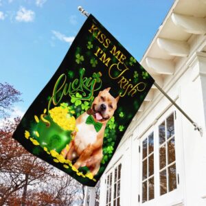 Pit Bull Kiss Me I m Irish St Patrick s Day Garden Flag Best Outdoor Decor Ideas St Patrick s Day Gifts 3