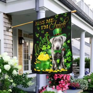 Silver Labrador Kiss Me I’m Irish St Patrick’s Day Garden Flag – Best Outdoor Decor Ideas – St Patrick’s Day Gifts