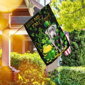Silver Labrador Kiss Me I m Irish St Patrick s Day Garden Flag Best Outdoor Decor Ideas St Patrick s Day Gifts 2