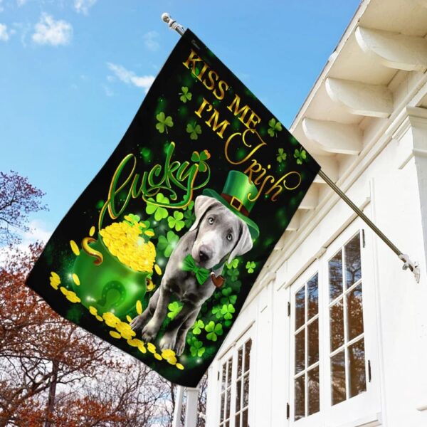 Silver Labrador Kiss Me I’m Irish St Patrick’s Day Garden Flag – Best Outdoor Decor Ideas – St Patrick’s Day Gifts