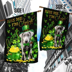 Silver Labrador Kiss Me I m Irish St Patrick s Day Garden Flag Best Outdoor Decor Ideas St Patrick s Day Gifts 4