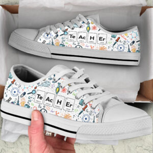 Teacher Chemistry Icons Low Top Shoes Best Gift For Teacher School Shoes Best Shoes For Him Or Her 1