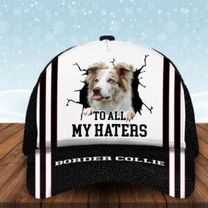 To All My Haters Border Collie…