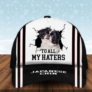To All My Haters Japanese Chin…