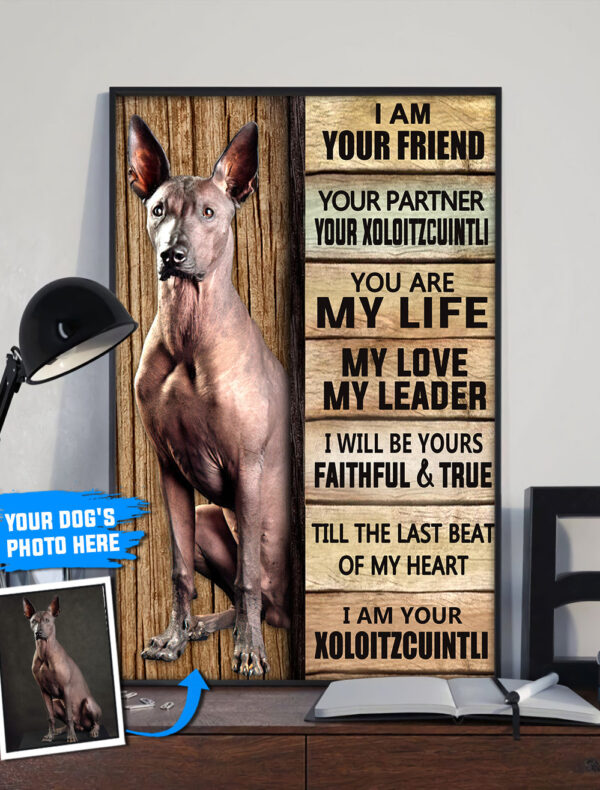 Xoloitzcuintli Personalized Poster & Canvas – Dog Canvas Wall Art – Dog Lovers Gifts For Him Or Her