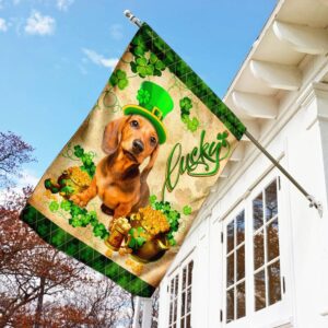 Yellow Dachshund St Patrick s Day Garden Flag Best Outdoor Decor Ideas St Patrick s Day Gifts 3