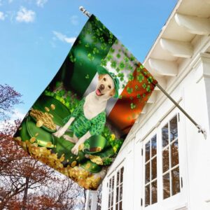 Yellow Labrador St Patrick s Day Garden Flag Best Outdoor Decor Ideas St Patrick s Day Gifts 3