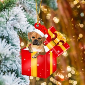 Puggle In Red Gift Box Christmas…