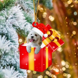 Cockapoo In Red Gift Box Christmas…