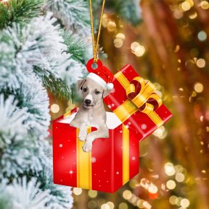 Greyhound In Red Gift Box Christmas…