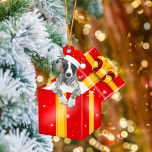 Whippet In Red Gift Box Christmas…