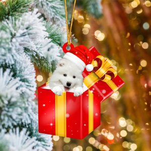 Samoyed In Red Gift Box Christmas…