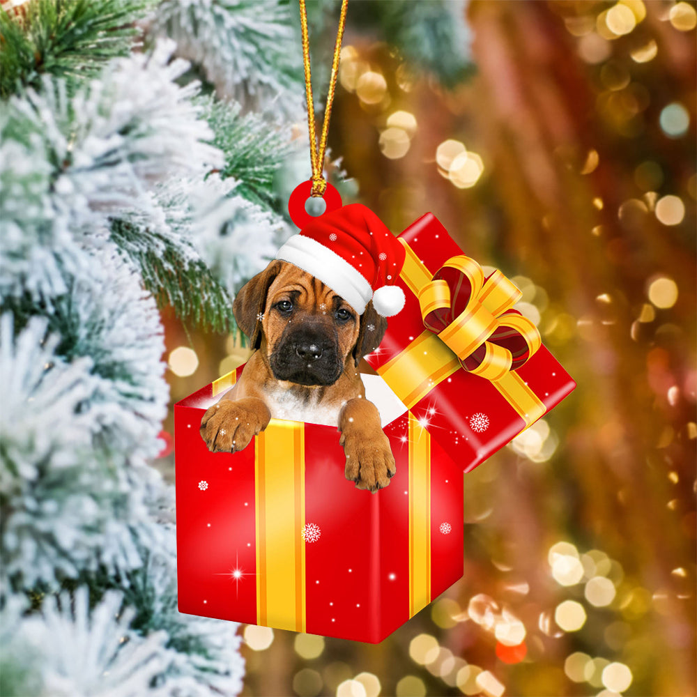 Rhodesian Ridgeback In Red Gift Box Christmas Ornament - Holiday Dog Ornaments