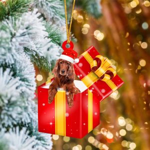 Irish Setter In Red Gift Box…