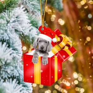 Weimaraner02 In Red Gift Box Christmas…