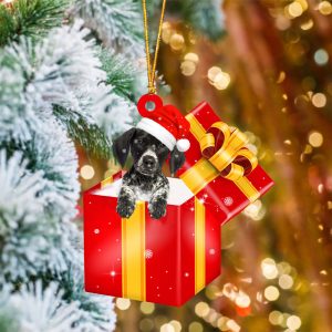 German Shorthaired Pointer03 In Red Gift…