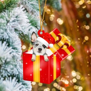 Heeler In Red Gift Box Christmas…