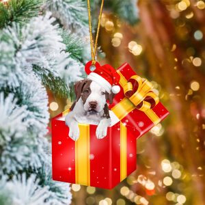 Pitbull2 In Red Gift Box Christmas…