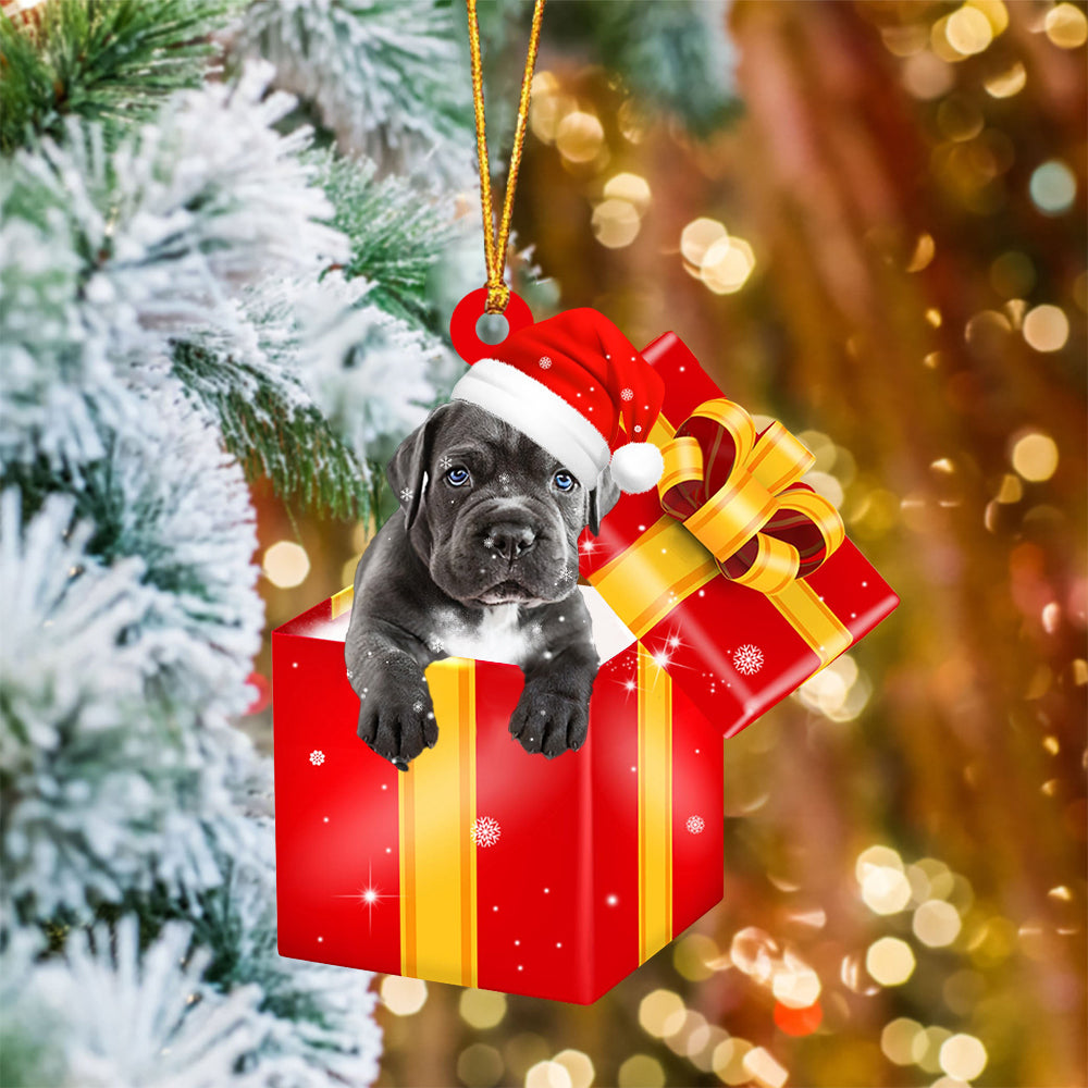 Cane Corso In Red Gift Box Christmas Ornament - Holiday Dog Ornaments