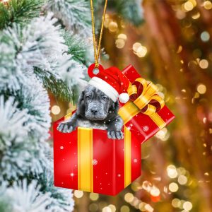 Neapolitan Mastiff In Red Gift Box…