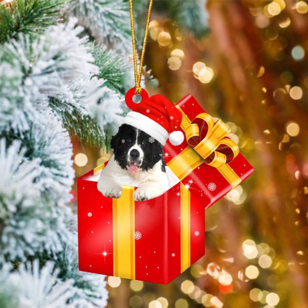 Newfoundland In Red Gift Box Christmas Ornament – Holiday Dog Ornaments