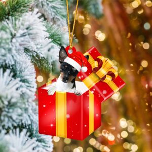 Rat Terrier08 In Red Gift Box…