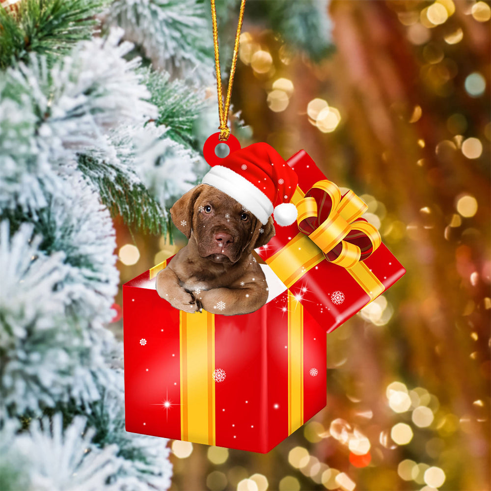 Chesapeake Bay Retriever In Red Gift Box Christmas Ornament - Holiday Dog Ornaments