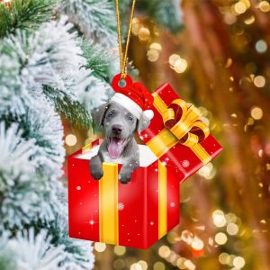 Weimaraner In Red Gift Box Christmas…