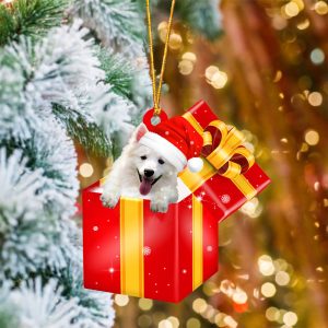 American Eskimo In Red Gift Box…