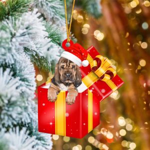 Bloodhound In Red Gift Box Christmas…