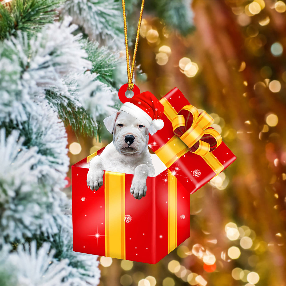 Dogo Argentino In Red Gift Box Christmas Ornament - Holiday Dog Ornaments