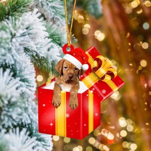 Vizsla In Red Gift Box Christmas…