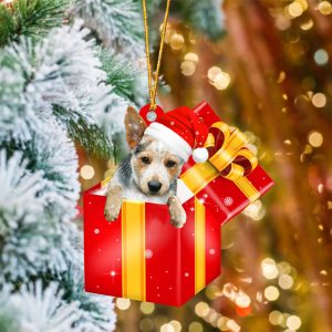 Heeler06 In Red Gift Box Christmas…