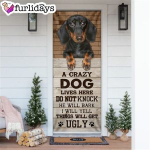 A Crazy Dog Lives Here Dachshund Door Cover Xmas Outdoor Decoration Gifts For Dog Lovers 6