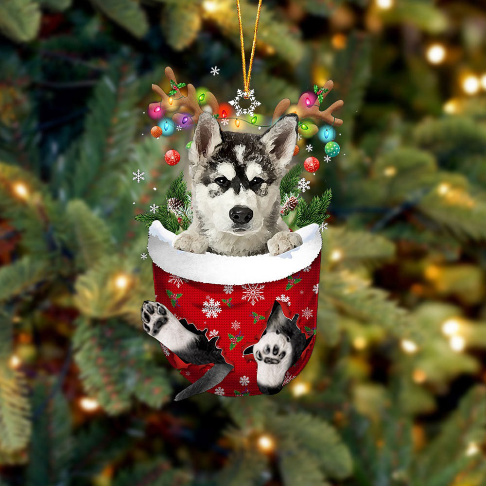 Alaskan Malamutes In Snow Pocket Christmas Ornament - Two Sided Christmas Plastic Hanging