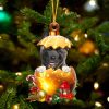 American Akita In Golden Egg Christmas Ornament – Car Ornament – Unique Dog Gifts For Owners