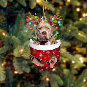 American Bully In Snow Pocket Christmas…