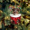 Australian Shepherd 3 In Snow Pocket Christmas Ornament – Two Sided Christmas Plastic Hanging